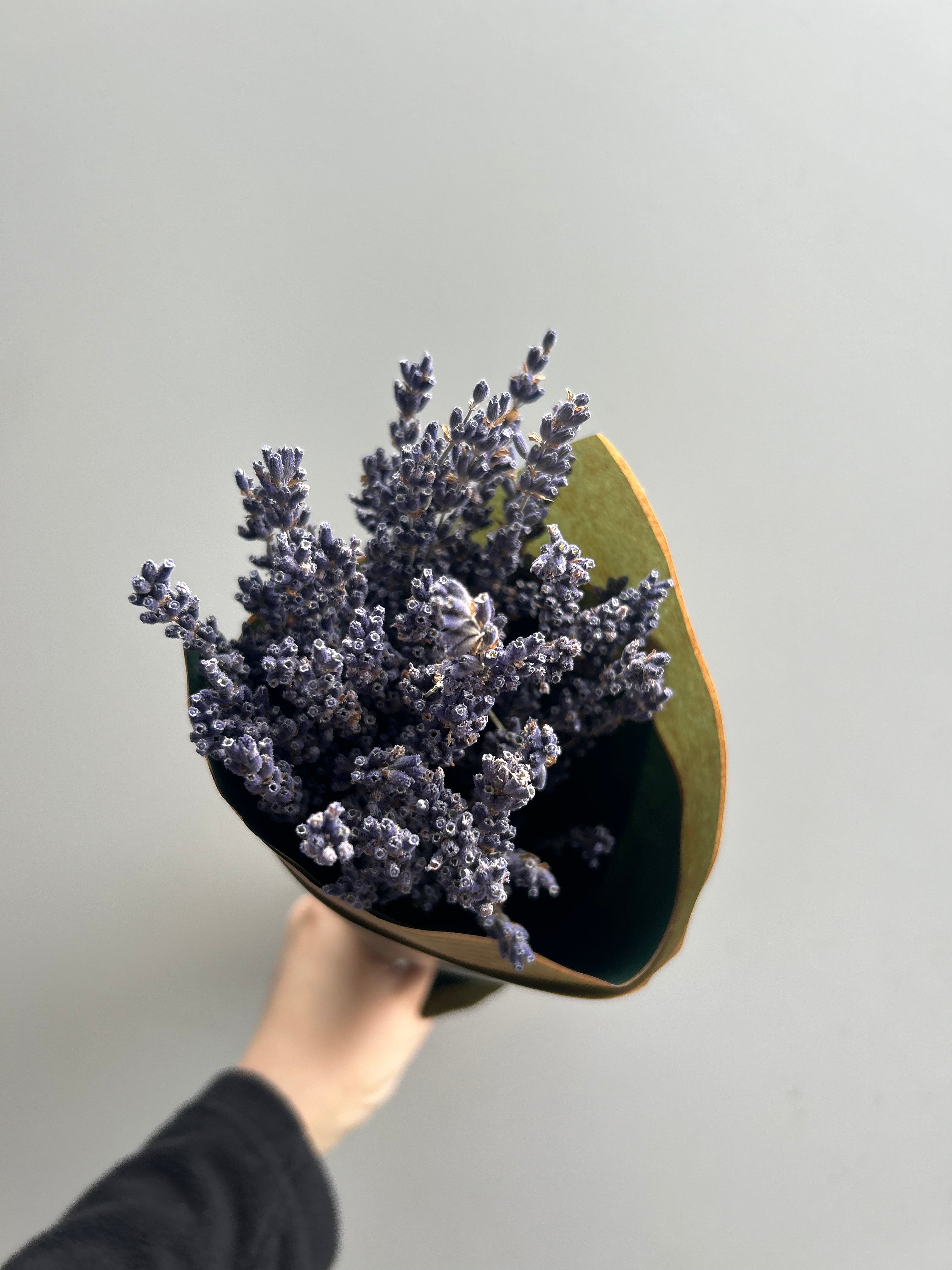 Small Lavender Bouquet