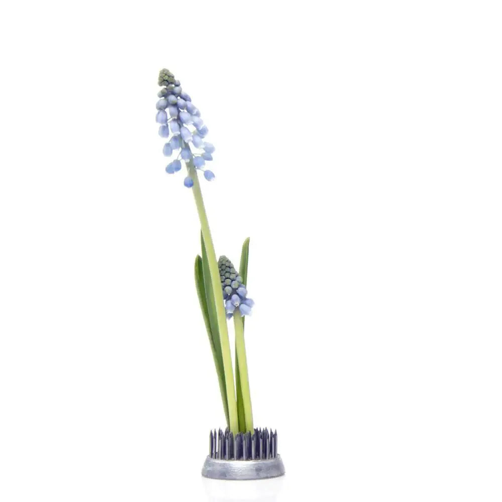 Floral Frogs / Kenzans