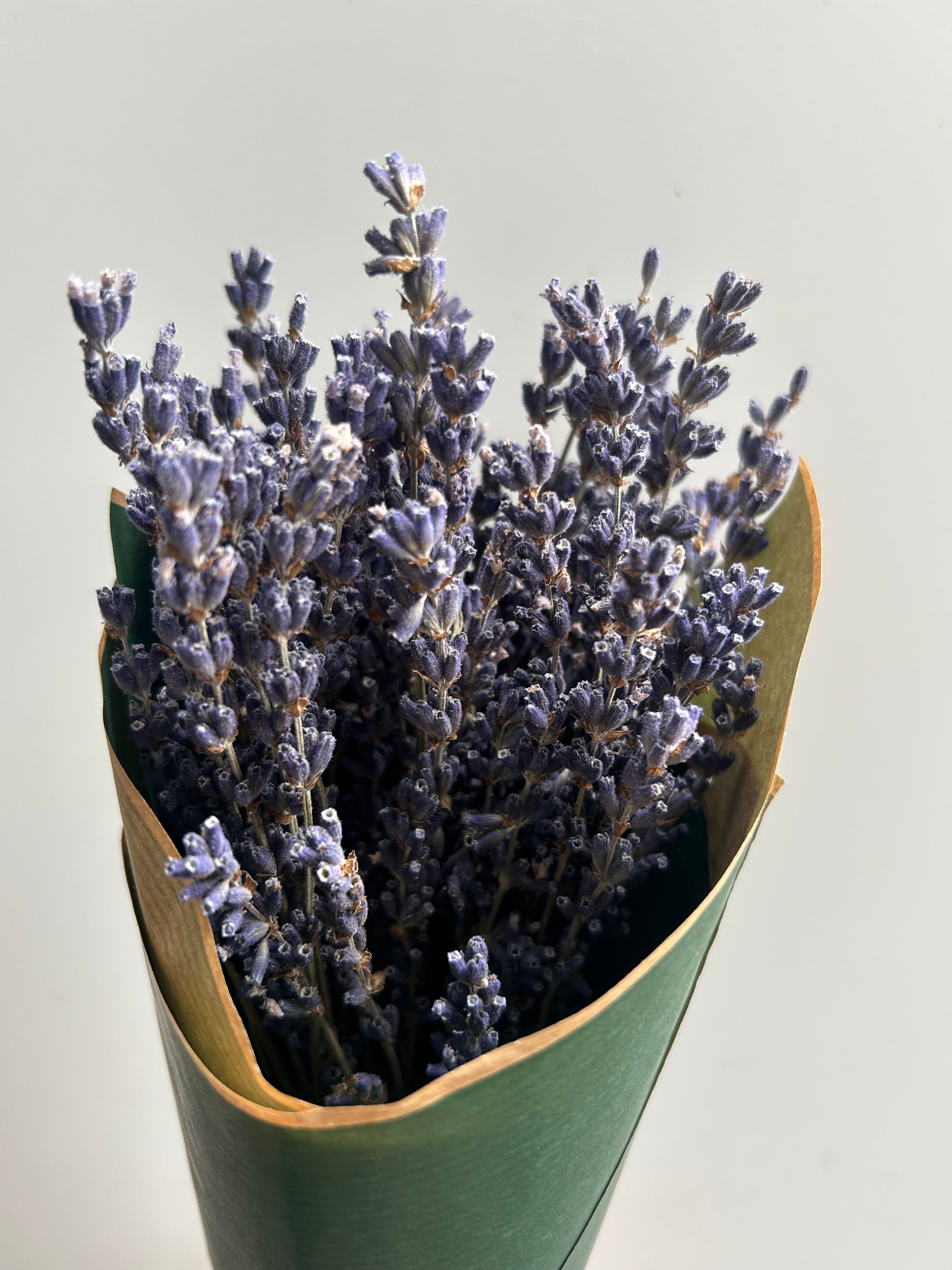 Small Lavender Bouquet