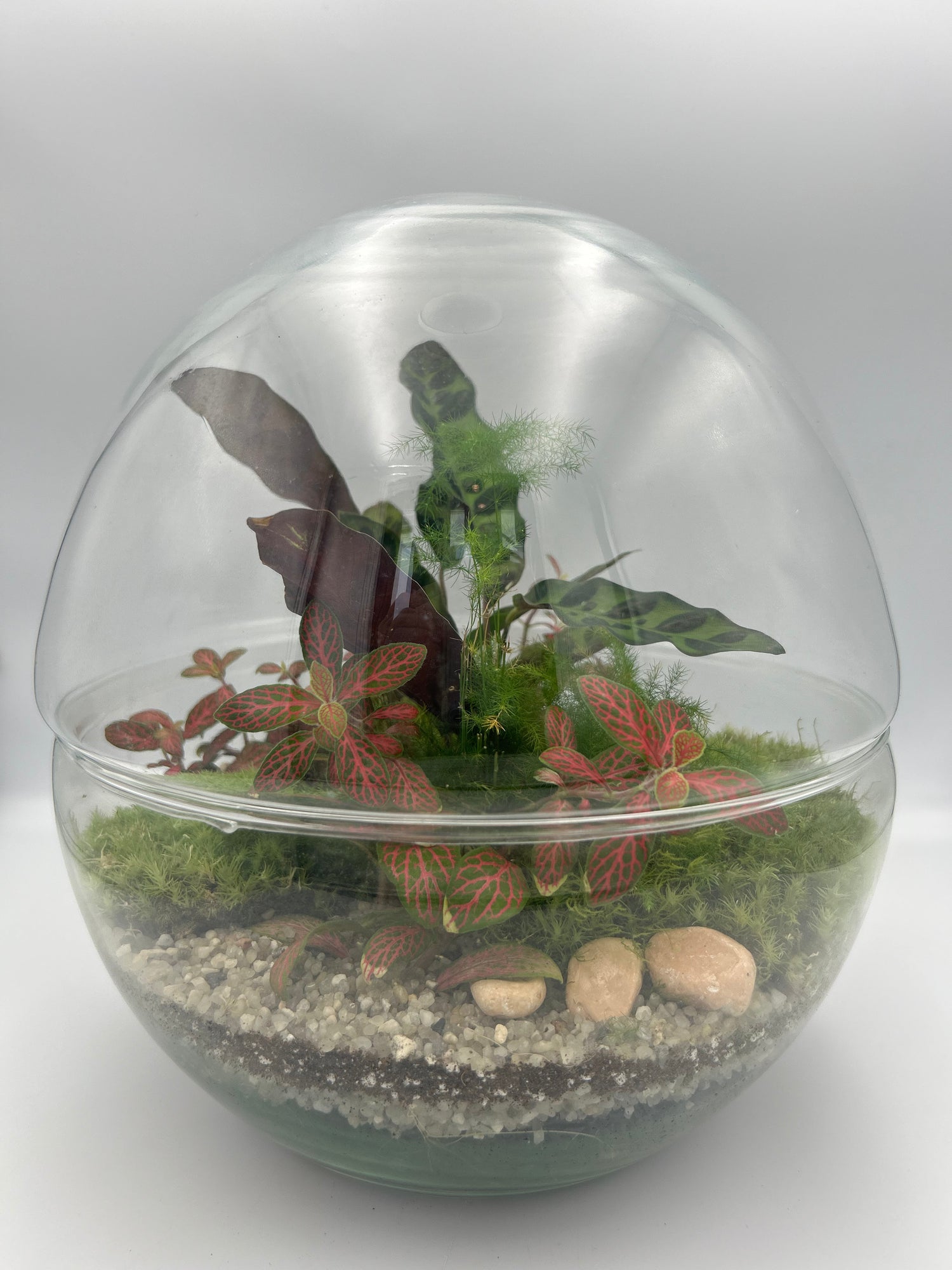Globe Terrarium