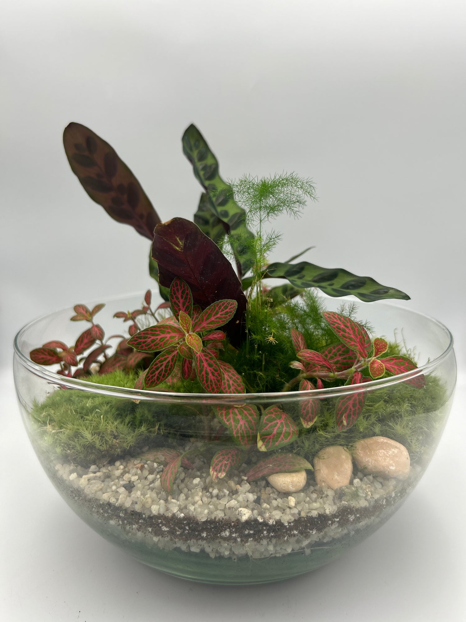 Globe Terrarium