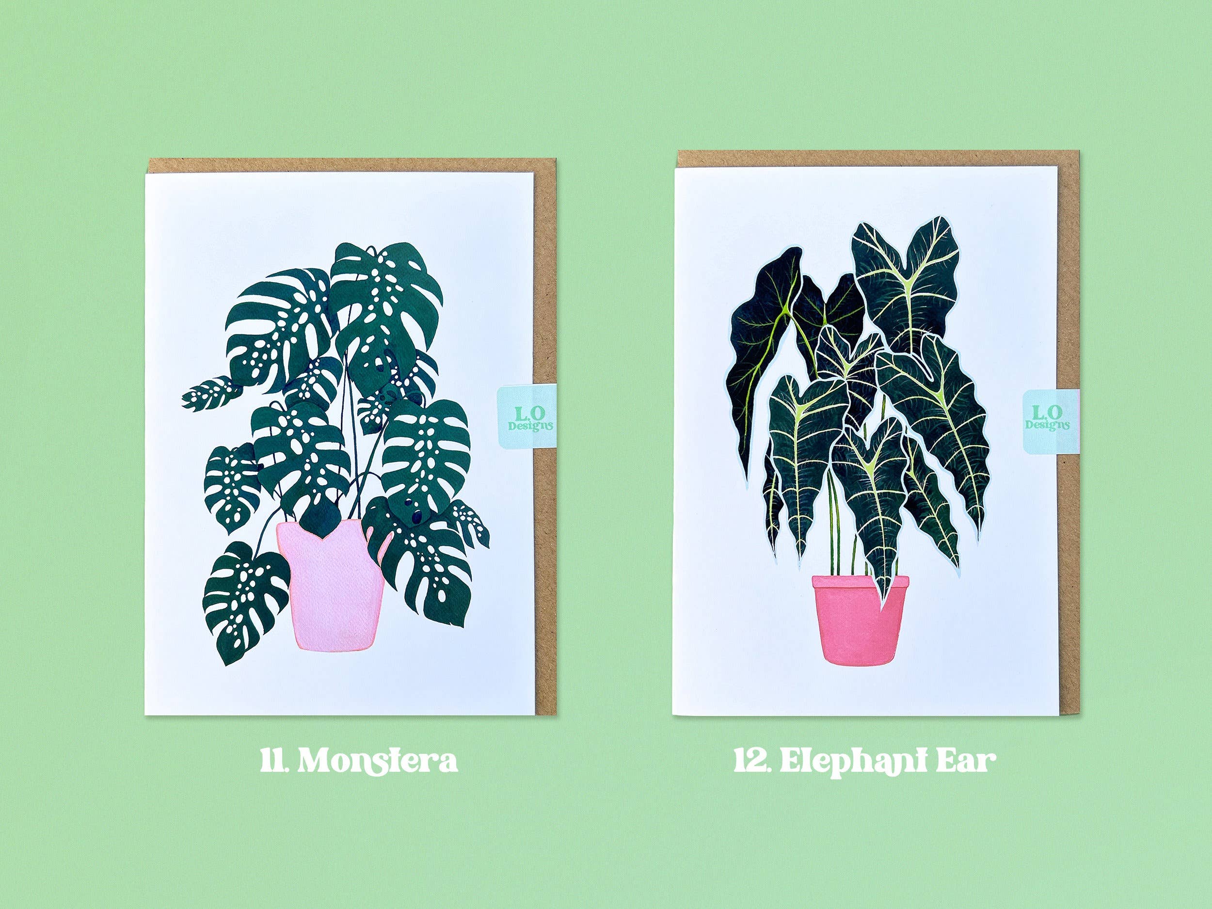 Multipacks of Plant Painting Naked Cards 5x7"