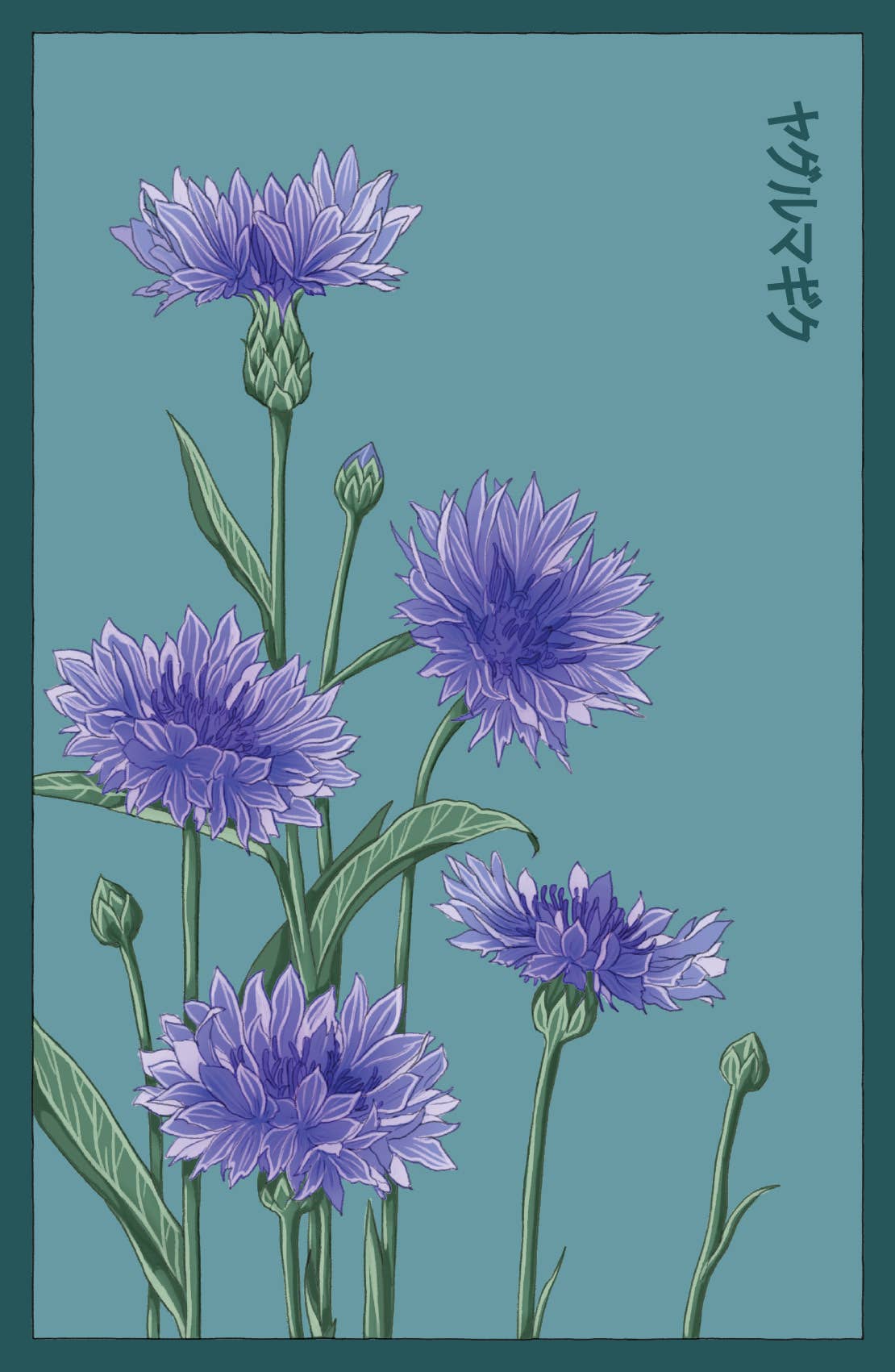 Shido Seeds
