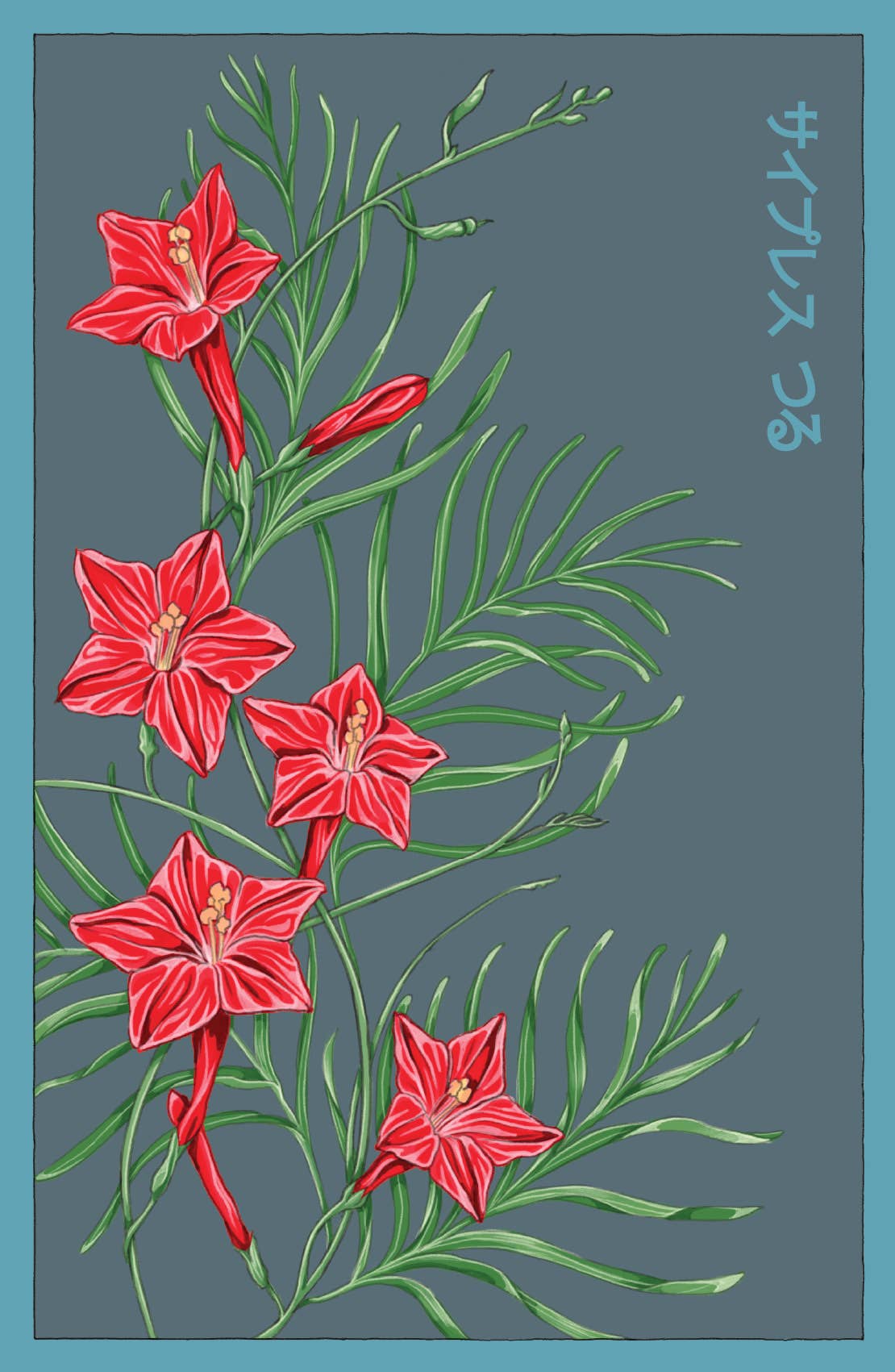 Shido Seeds