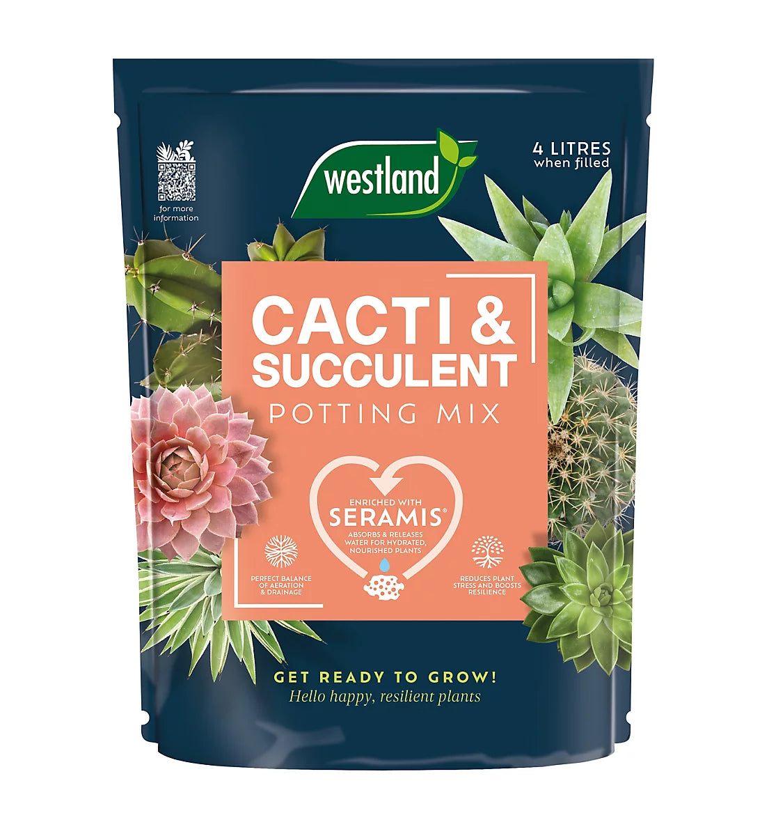 Westland Cacti & Succulent Potting Mix 4l