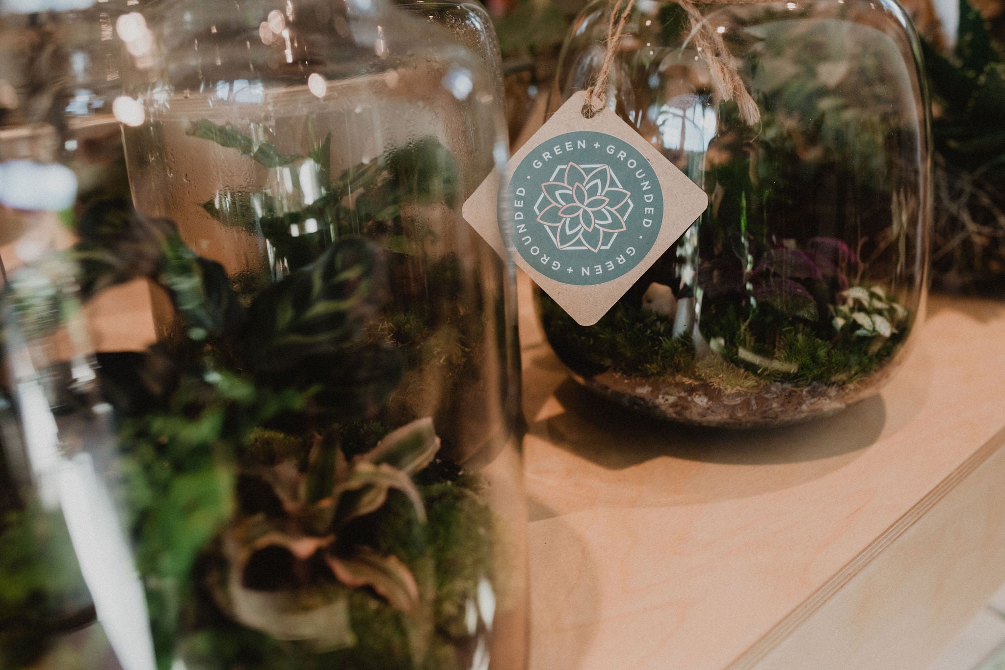 Eco-friendly terrarium gift from Green & Grounded