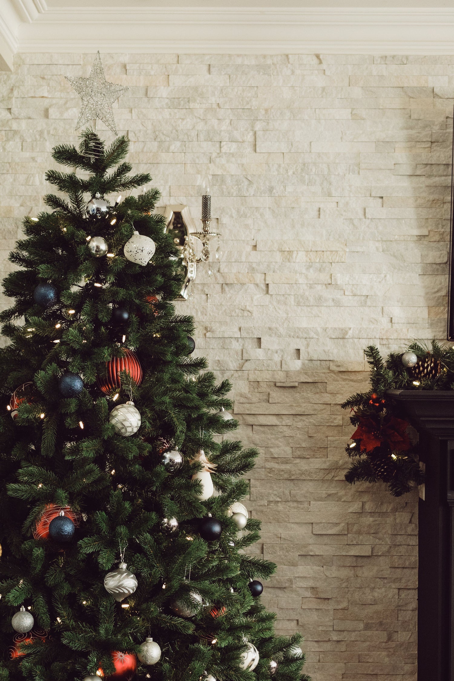 Premium Christmas Trees