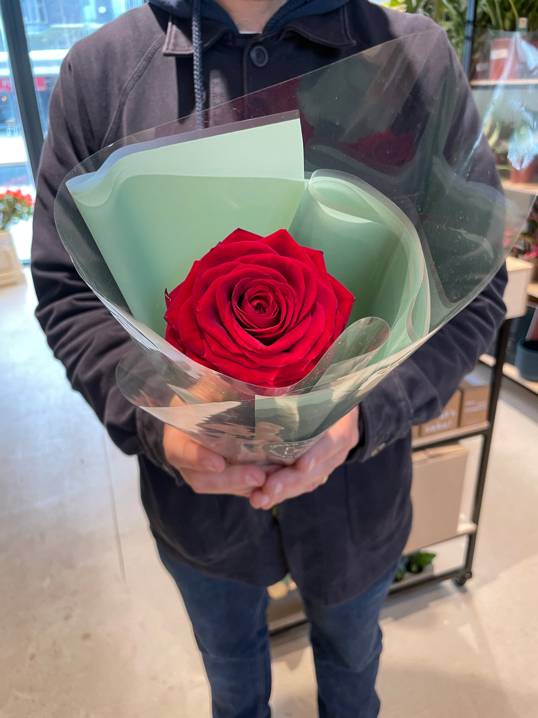 Single Red Rose and Foliage