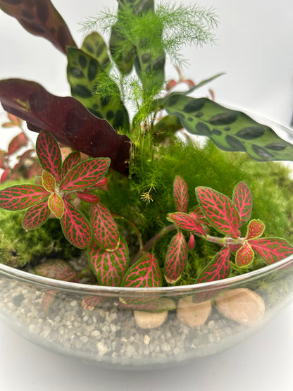Globe Terrarium