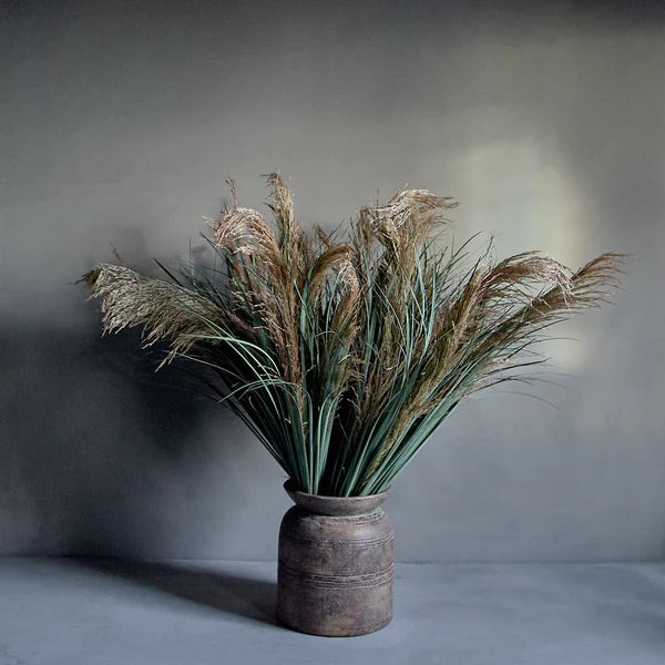 Pampas Grass