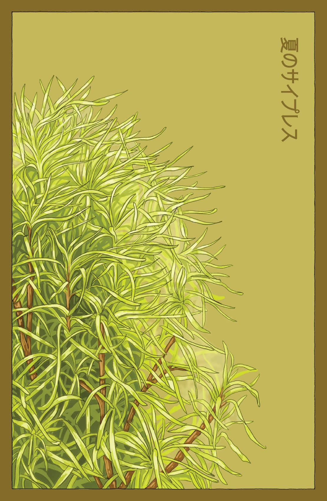Shido Seeds