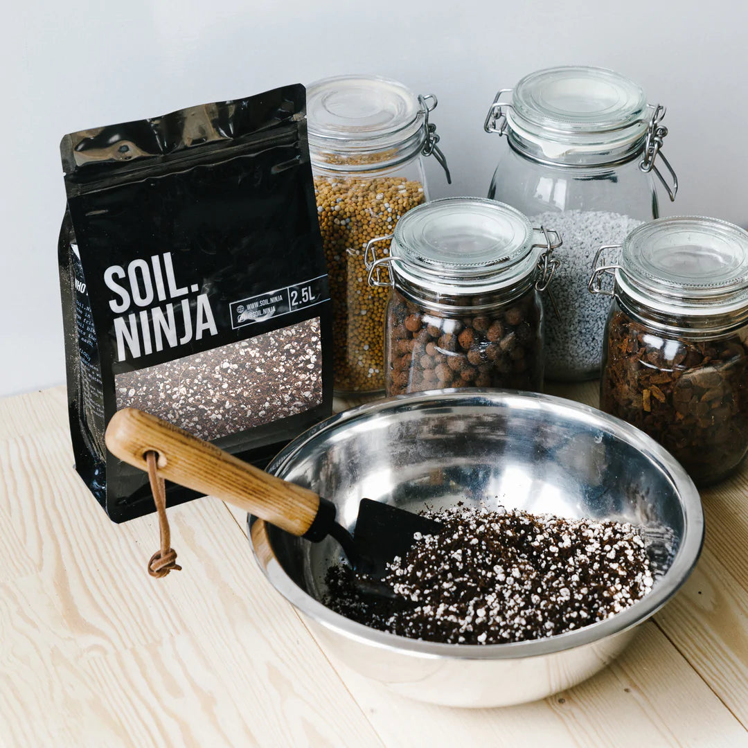 Just House Plants Base Mix Premium Soil