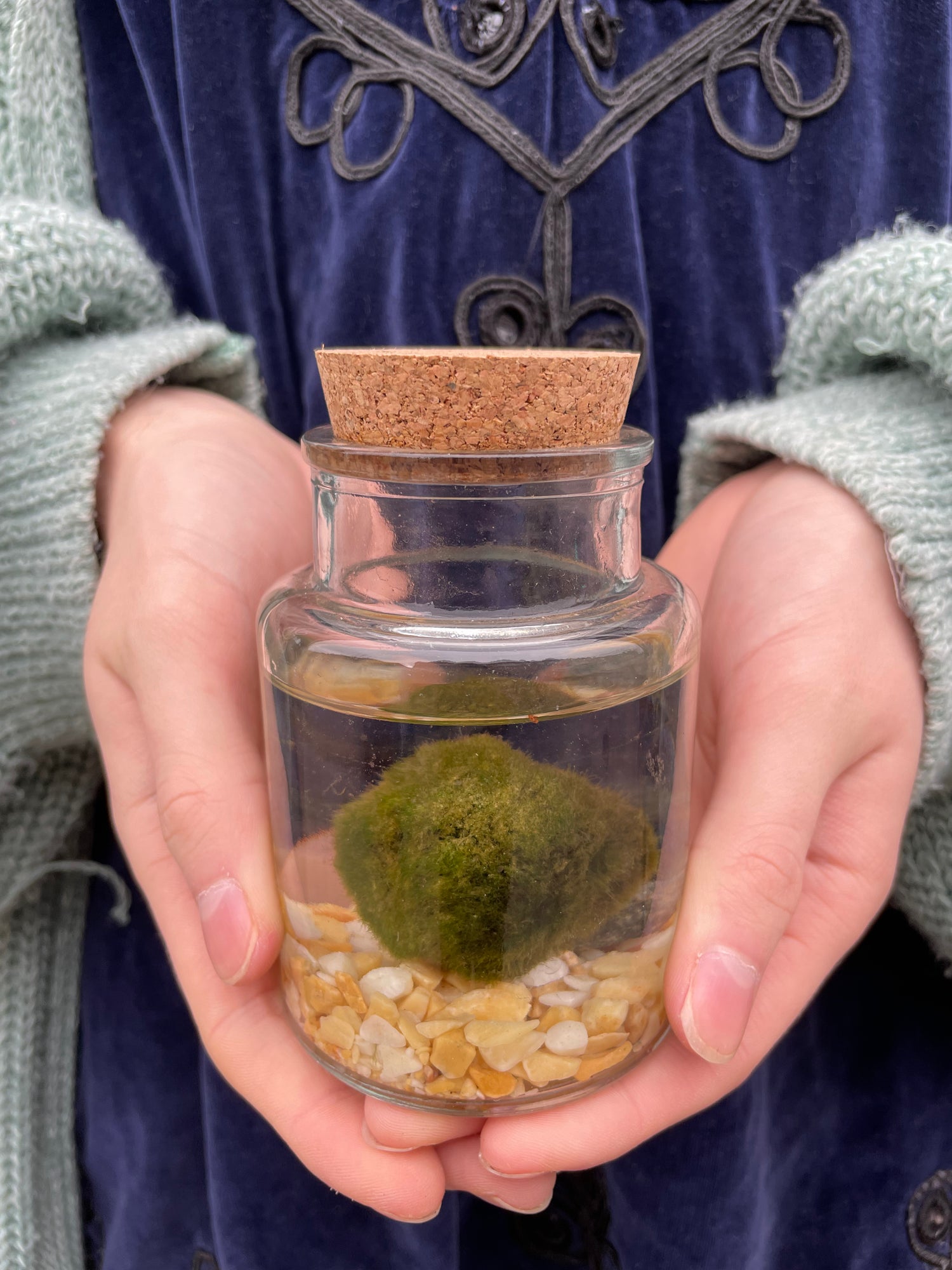 Marimo Ball
