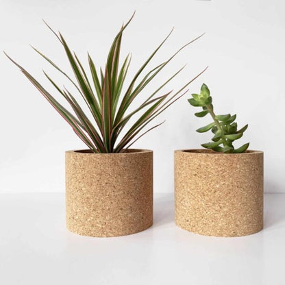 Echo Planter
