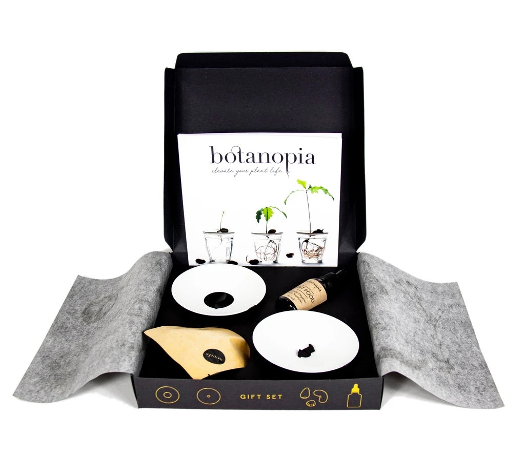 Germination Gift Set