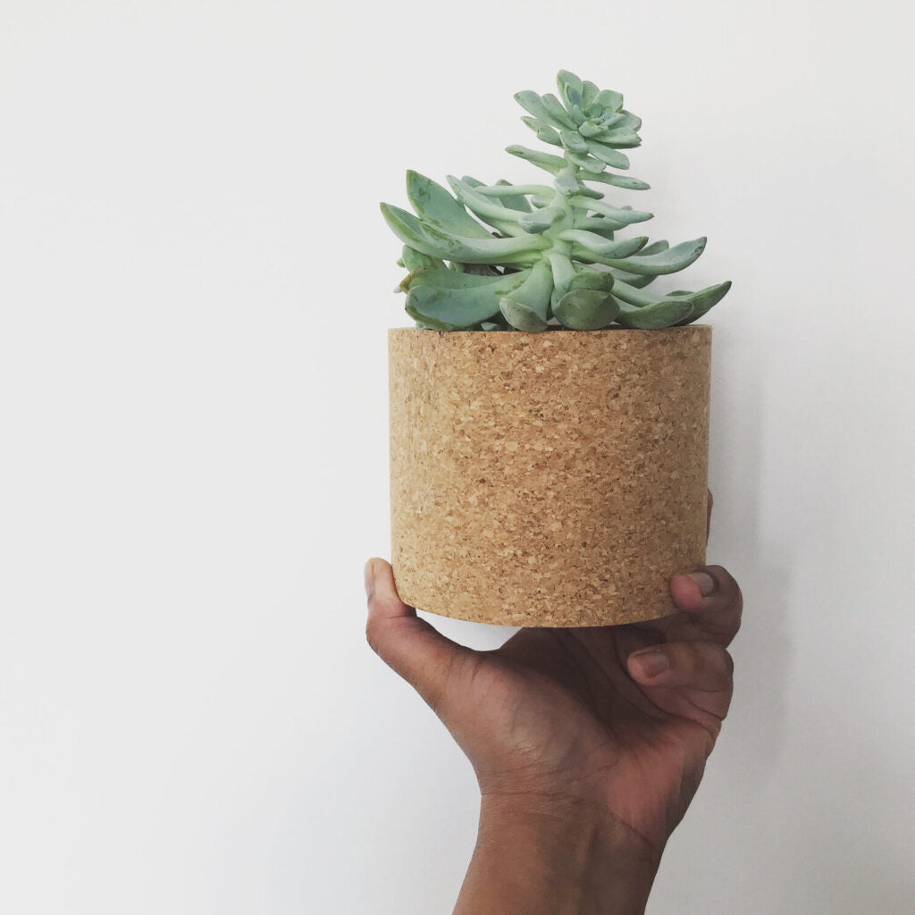 Echo Planter